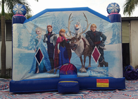 Grande glissière congelée d'intérieur de Chambre de princesse Happy Hop Inflatable Bounce