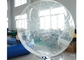 Boule gonflable colorée de l'eau, boule gonflable de flottement de hamster pour des humains fournisseur